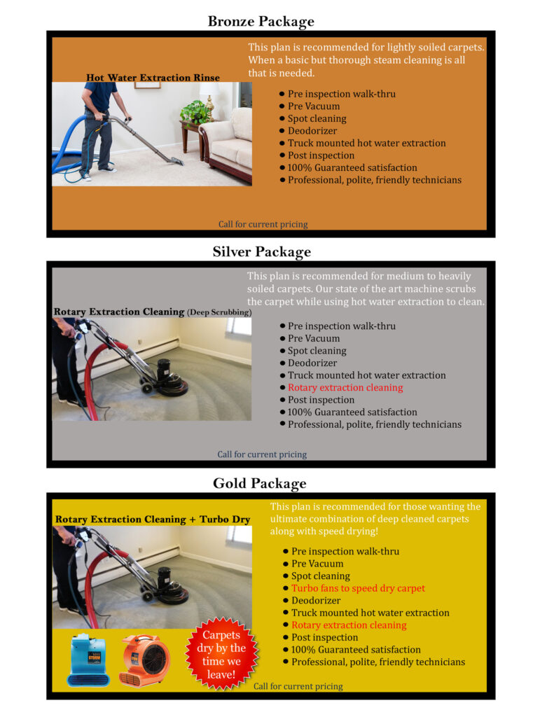 Pro Team Carpet cleaning in Roseville packages