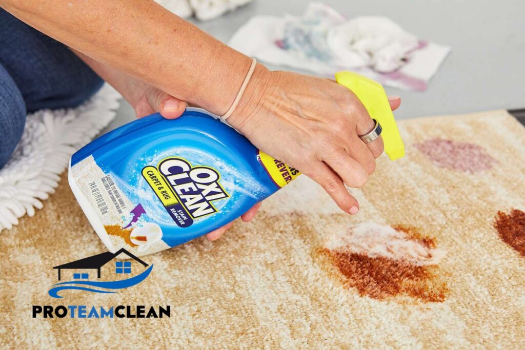 Oxiclean carpet cleaning stain remover