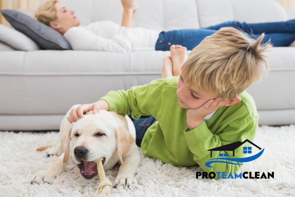 Preventing pet odors in your home