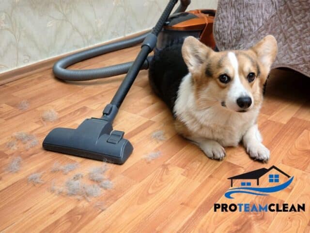 Best Vacuum for Pet Hair