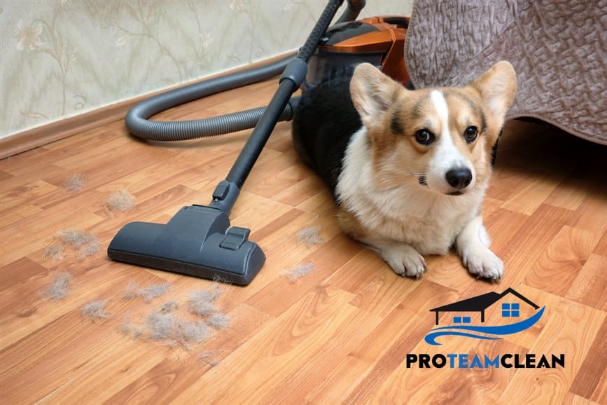 Pet Odor Removal Roseville CA 79 Pet hair vacuum for Roseville homes