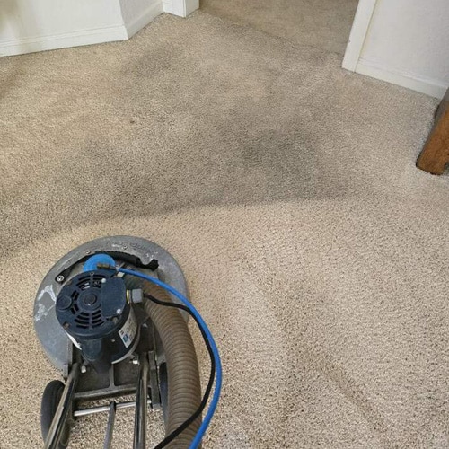 Carpet cleaning in Roseville