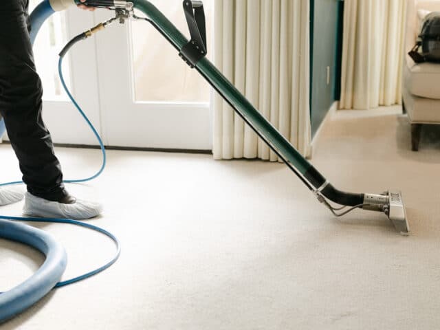 How Often Should You Have Your Carpets Professionally Cleaned